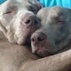 Meet your Posher, Rick